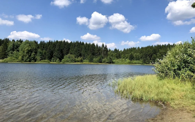 Wooden bungalow with oven, in Oberharz near a lake
