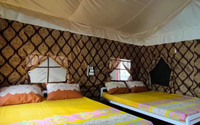Stay In By Bull Adventure 0047