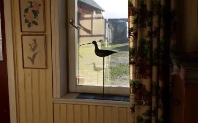 Hästen och Hunden B&B