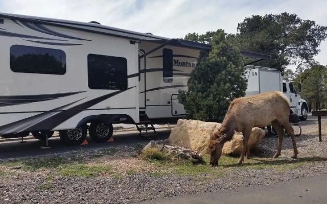 Trailer Village