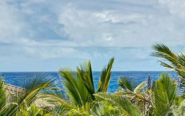 Hawaiian Paradise