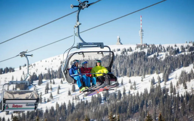 Ferienwohnung Seeblick Nr 3, 2 Zi-Bärental, Feldberg