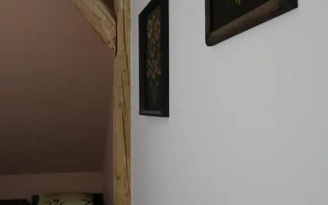 Pokoje u Wodzireja