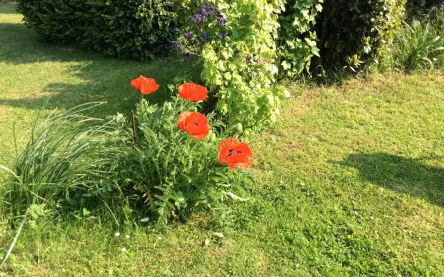 Gite a la campagne