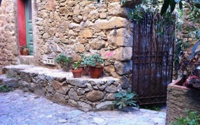 Les Geckos