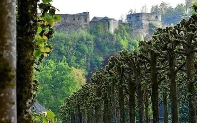 The Great View