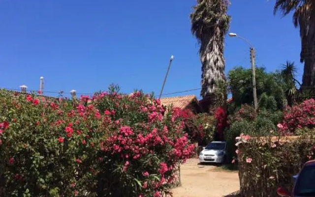 Cabañas Los Molles