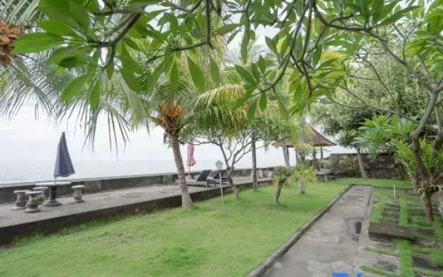 Rommeo Inn Lovina Mitra RedDoorz