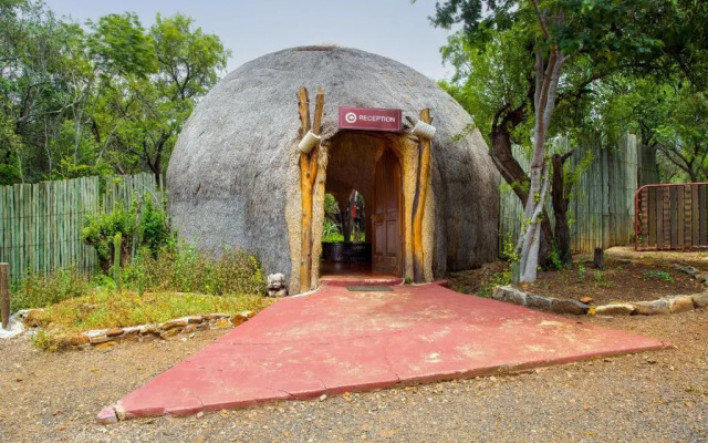 Warthogs Bush Lodge