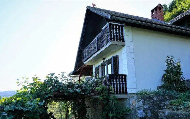 Vineyard Cottage Zajc