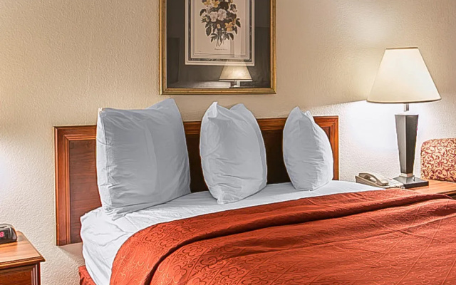 Quality Inn Medical Center Area