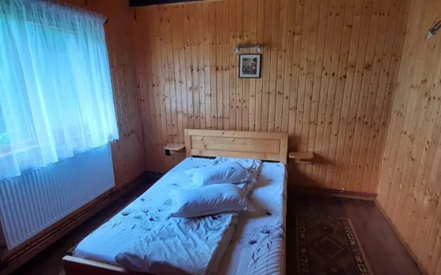 Cabana Ancutei