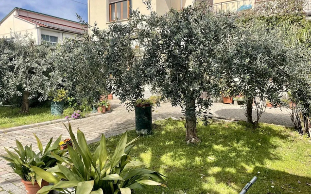 Casa La Palma in San Giuliano Terme