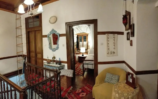 ΑΡΧΟΝΤΙΚΟ ΑΡΤΕΜΙΣ-Villa Artemis since 1871