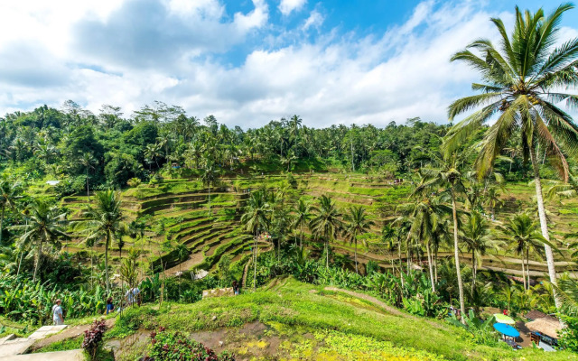 Sebatu Paradise Villa