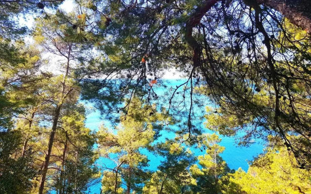 Sea Inside Villa