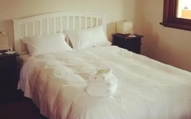 The Shamrock Hotel