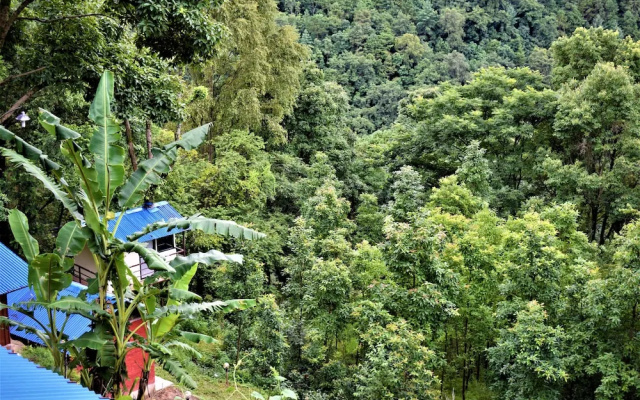 Jungle Crown Organic Homestay