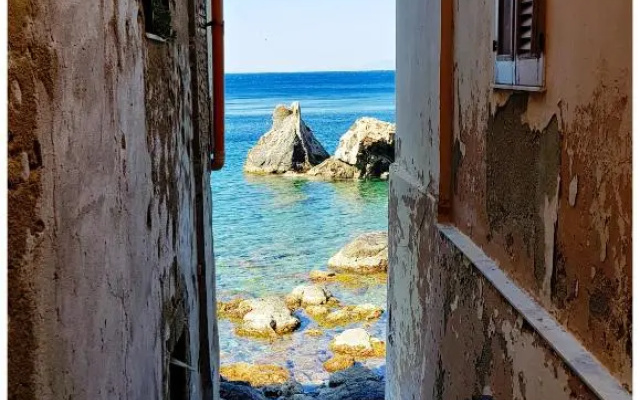 Sea Suite 26