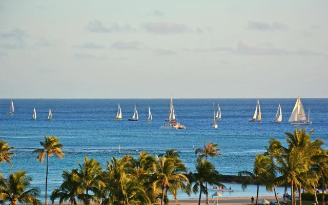 Waikiki Banyan #3205-T2
