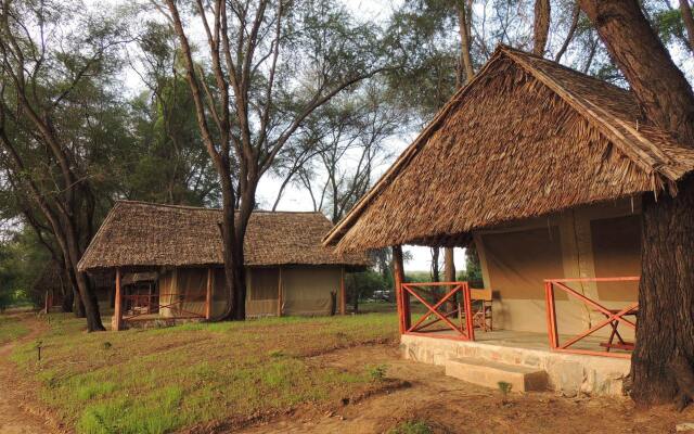 Loyk Tsavo Camp In Tsavo Kenya From 198 Photos Reviews Zenhotels Com