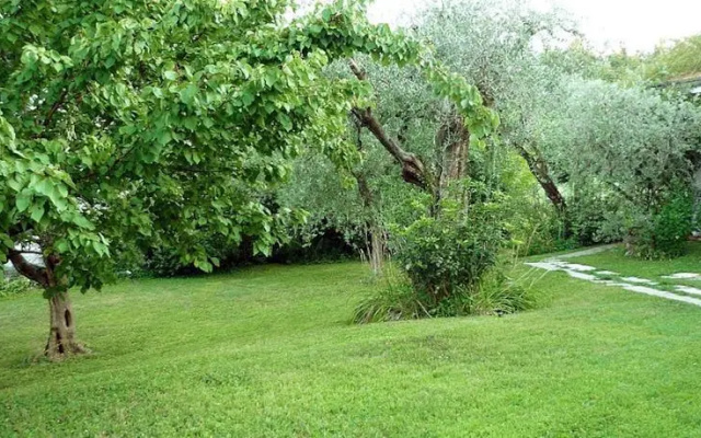 Il Paradiso del Garda