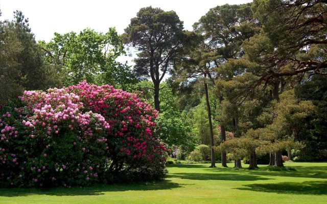 The Grove Lodge Guesthouse & Country Club