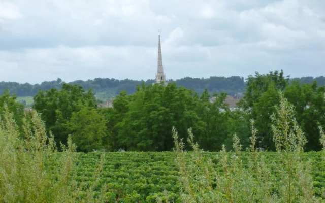 Le Cerisier
