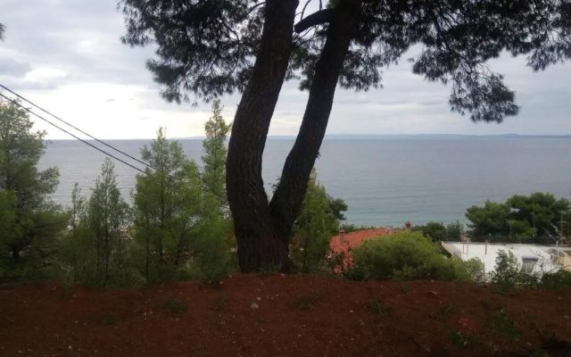 Pefkonas apartments2 100 m from the beach