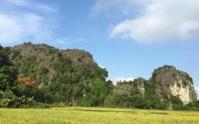 Vinh Thinh Homestay