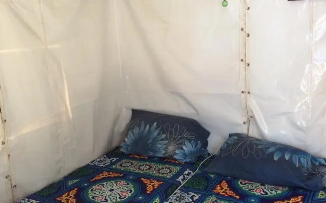 Blue Bus Camp