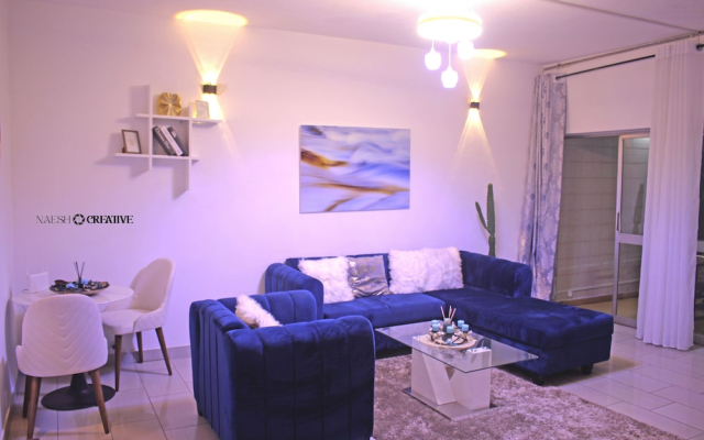 Penthouse Paris