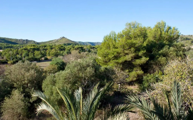 Fonda las Palmeras