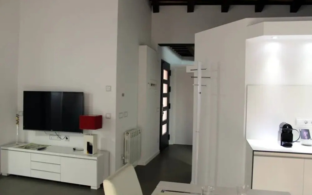 Apartment Among Volcanoes In Olot
