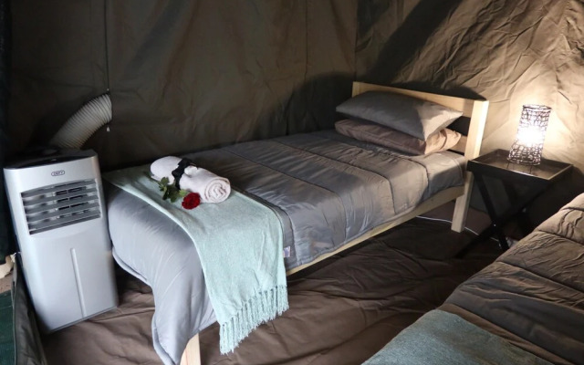 Kruger Park Tours