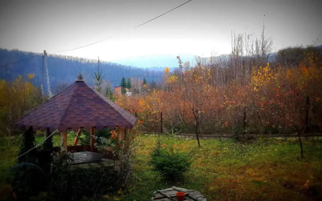 Panorama