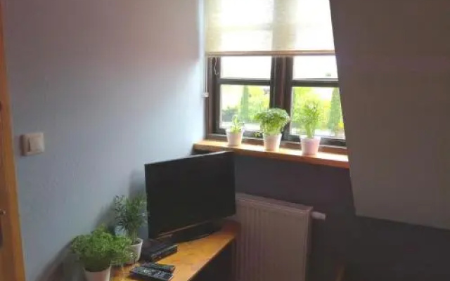 Pod Wierzbą