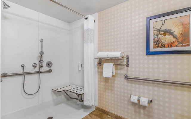 Hampton Inn & Suites Detroit / Airport - Romulus