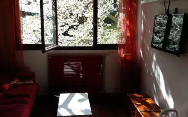 studio bellevue