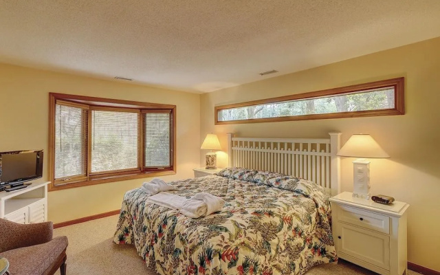 Willow Oak 2