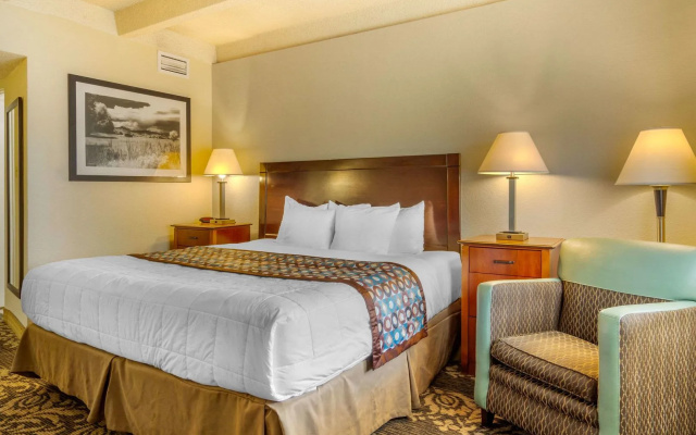 Budget Inn Denver Downtown