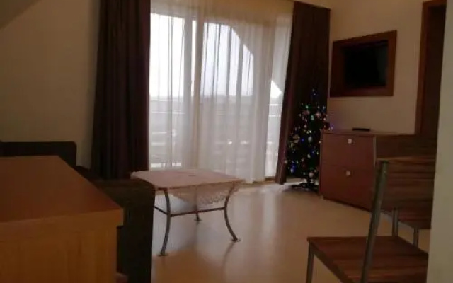 Luxury Apartment