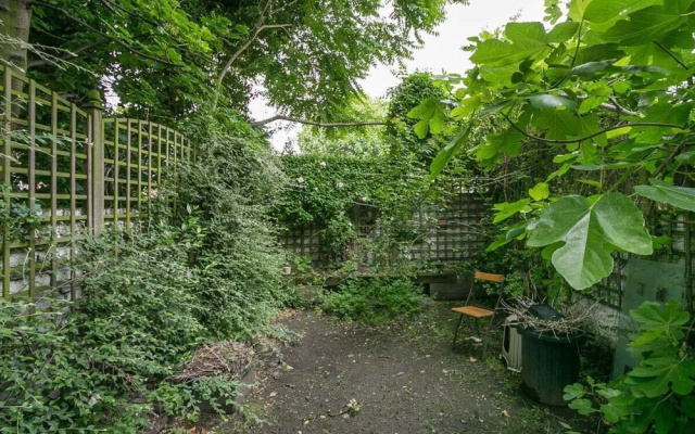 Cosy and Bright 2 Bed apt W/garden in Whitechapel