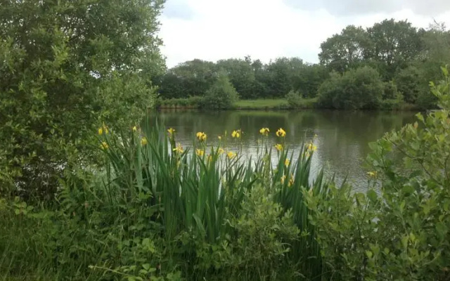 Cadson Manor Self Catering