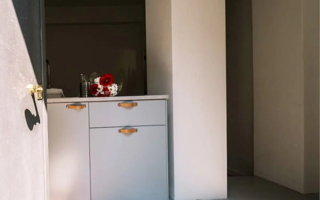Alex Suite