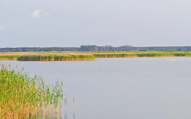 Hausboot in Barth am Barther Bodden