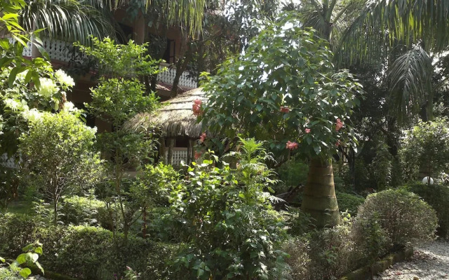 The 90's Sauraha