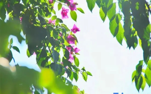 Nanping Jianyang Youruiwan Homestay