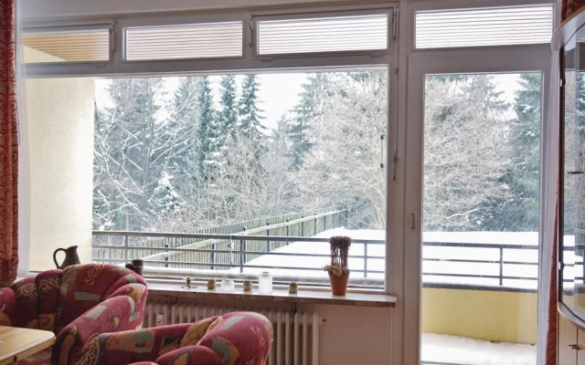 Stunning Apartment in St. Andreasberg With 2 Bedrooms