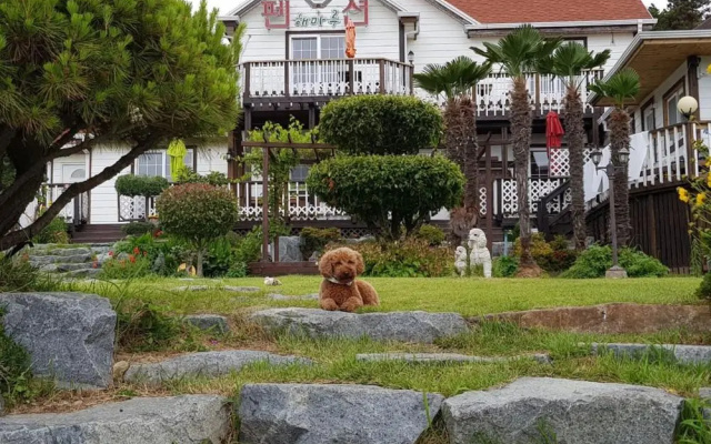 Haemaru pension